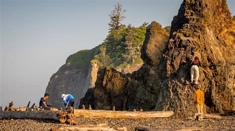 Top Hotels Closest to Ruby Beach in Forks from CA $225.